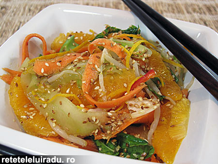 salata chinezeasca de legume1 - Salata chinezeasca de legume 1 - Retetele lui Radu